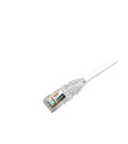 PATCH CORD CAT6 1,524M BRANCO AMP