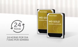 ARMAZENAMENTO INTELBRAS DISCOS RGIDOS WD GOLD PARA CFTV E DATA CENTERS
